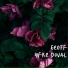 Yfke Duval
