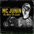 Mc Junin