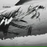Tony Shape