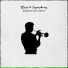 Chamber Armonie Orchestra