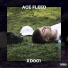 Ace Fleed, Fante