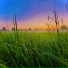 Spring In Space
