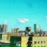 Crazy MN