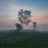 chiderprod, Past Day