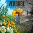 Verbase