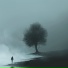 Nevelige Horizon
