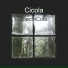 Cicola
