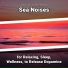 Sea Waves Sounds, Ocean Sounds, Nature Sounds