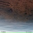 Teakup