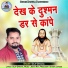 Dilip Diwana