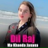 Dil Raj