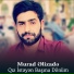 Murad Elizade