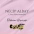 Necip Albay