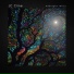 JC Cline