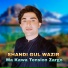 Shandi Gul Wazir