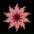SoneD
