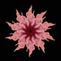 SoneD