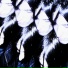 ELEPHOST