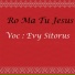 Evy Sitorus