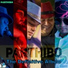 Parthibo