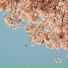 White Snow