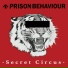 Prison Behaviour