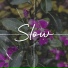 Sinta
