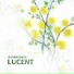 mishasparr
