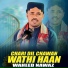 Waheed Nawaz