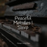 Calm shores, Piano Music for Work, Piano Shades