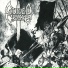 Guided Cradle