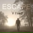 VFred