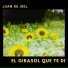 Juan De Isel