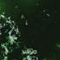 wxrlq