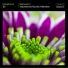 Ultraphonic