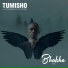 Tumisho feat. Mthandazo Gatya, Comado