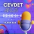 Cevdet Arslan