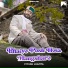 Piyush Jhamta