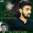 Ali Zaidi Alish