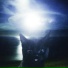 ECHORISE, EMPTYCAT