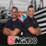GRUPO GINGADO