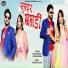 Sonu Kanwar, Vikram Singh