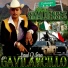 Saul Viera El Gavilancillo