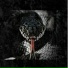 Desent 29 feat. Hardmvth, Early electronic