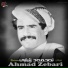 Ahmad Zebari