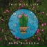 This Wild Life feat. The Happy Fits