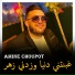 Amine Choupot