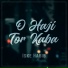 Iske Habib