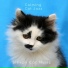 Sleepy Cat Music