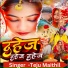 Teju Maithil